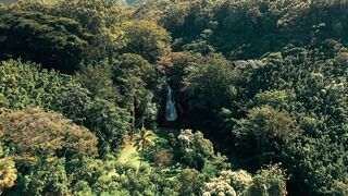 Travelon - hidden hawaii waterfall | Trending HD Video