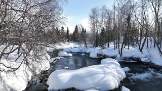 The Bold and the Beautiful - flowing river | Trending HD Video