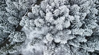 Winter solstice - id | Trending HD Video
