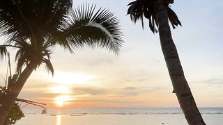 Travelpro - the sun sets over the beach and palm trees | Trending HD Video