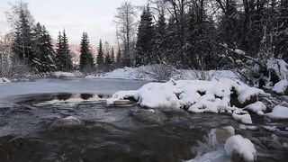 Winterhalter - id | Trending HD Video