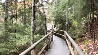 "May this day be filled with greenery. Good afternoon, my dears! ????☀️"