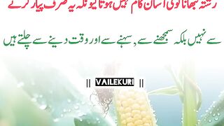 Rishty