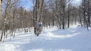Winterhalter - people skiing in winter forest | Trending HD Video