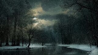 Winter Coat - id | Trending HD Video