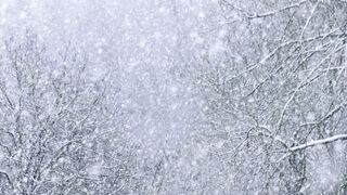 Winterhalter - id | Trending HD Video