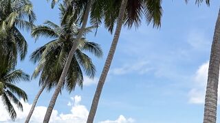 travelite - a beach at or near the apartment | Trending HD Video