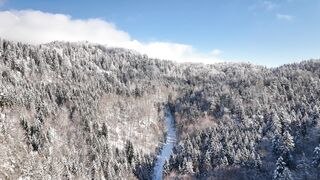 Winter solstice - id | Trending HD Video
