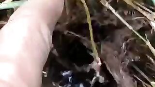 Fishing eel videos.. This is fishing eel videos.. Thanks for watching..!!!