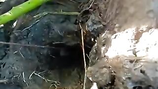 Fishing eel videos.. This is fishing eel videos. Thanks for watching..!!