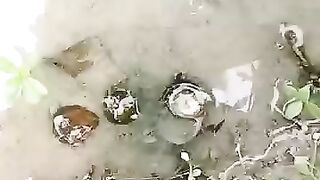 Fishing eel videos.. This is fishing eel videos.. Thanks for watching..!!