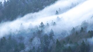 Winter solstice - id | Trending HD Video
