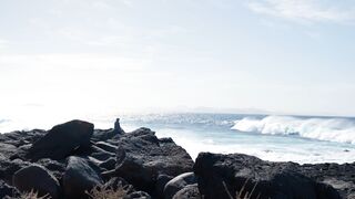 travelite - id | Trending HD Video