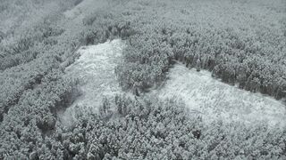 Winter Coat - drone footage of a forest covered with snow | Trending HD Video