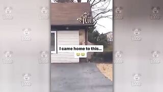 Funny Animal Videos 2026 Part 13
