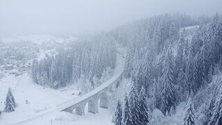 Winterhalter - id | Trending HD Video