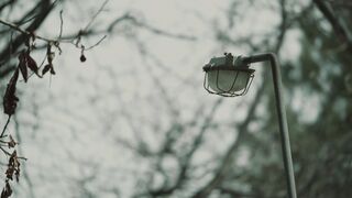 Winterhalter - id | Trending HD Video