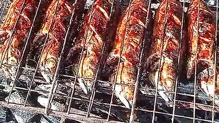 Come closer, the grilled fish is ready.