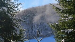 Winterhalter - a winter forest under a blue sky with white clouds | Trending HD Video