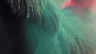 Contrast in motion.✨Witnessing the silent dance of the wild in the morning mist #Nature #Majestic