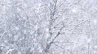 Snow boot - id | Trending HD Video 2