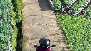 Desa Sukomakmur di Magelang ini cocok banget kayaknya buat tempat shooting ftv????