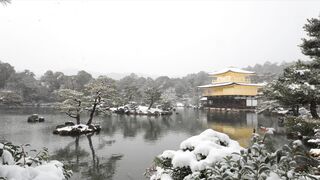 Winter solstice - id | Trending HD Video 2 2