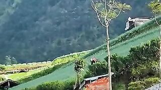 If you look at it from a distance, Mount Sumbing looks like it's bare, but if you zoom in, there are still lots of trees ????