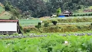 After sahur, don't sleep anymore, go for a walk to the slopes of Sumbing, for example, to see the potato plants that are starting to flower????