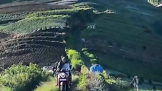 The village girl has just delivered supplies to the fields, she's beautiful, isn't she?