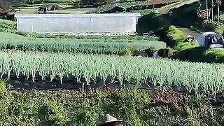 Fasting keeps the spirit of farming alive