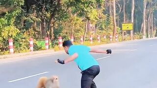wild monkey prank