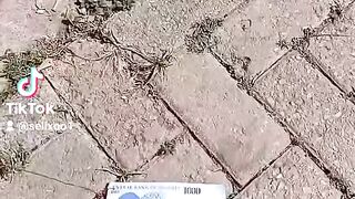 Funny kingdom 9