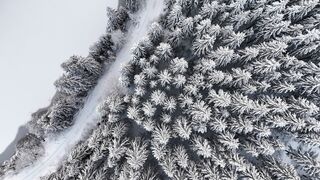 Winter solstice - id | Trending HD Video 5