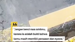 Bersyukurlah #iwanfals #sasaji #oi #fyp