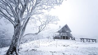 The Shy Snow Woman and the Cursed Ring - id | Trending HD Video 3