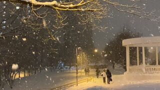 Winter Coat - snowfall near tree at night | Trending HD Video