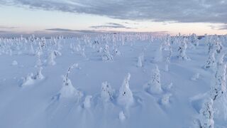 Winter Coat - majestic winter landscape in lapland at dusk | Trending HD Video
