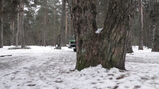 Travelon - a camper van in the woods | Trending HD Video
