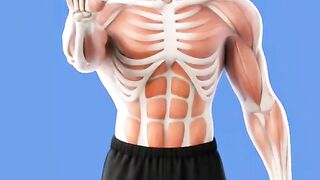 Height growth exercise