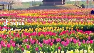 The scenery beautiful