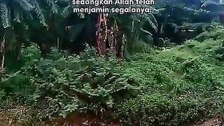 ALLAH TELAH MENJAMIN SEGALANYA  #iwanfals #sasaji #oi #fyp