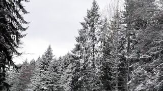 Winter Coat - a snowy road with trees on either side | Trending HD Video