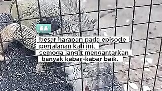 Besar harapanku episode 2026 ini ya Allah :) #iwanfals #sasaji #oi #fyp