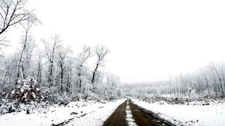 Winter solstice - camera moving along road in winter | Trending HD Video