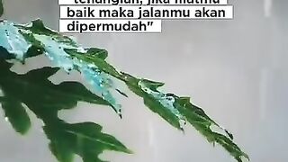 Niat baik akan di permudah #iwanfals #fyp #oi #sasaji
