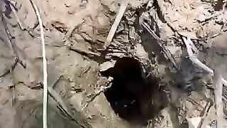 Looking for fish or eel.. Thanks for watching..!! 3