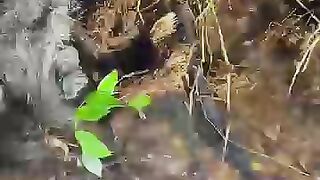 Looking for fish or eel.. Thanks for watching..!! 4