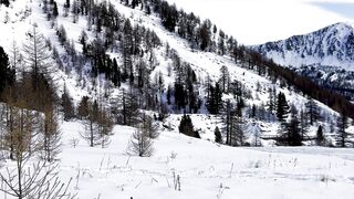 Winter Coat - snowy alpine landscape with mountain view | Trending HD Video