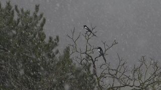 Winter solstice - id | Trending HD Video 10